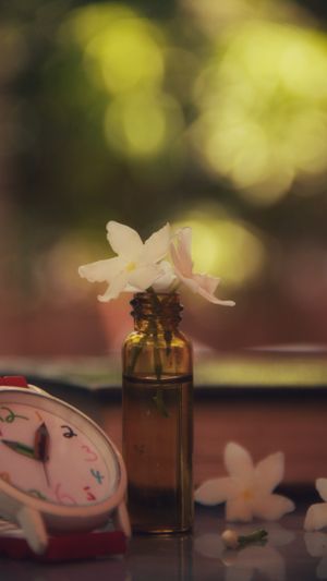 Mélange personnalisé de Fleurs de Bach pour les problèmes de sommeil