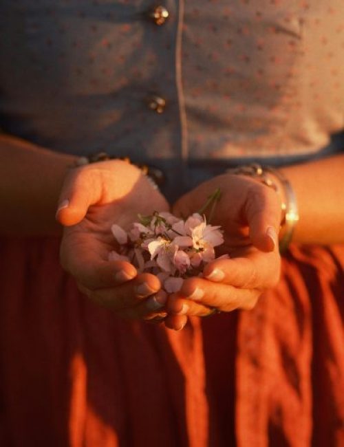 Pourquoi prendre se faire accompagner avec les Fleurs de Bach
